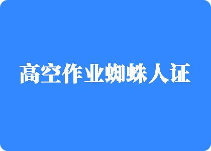 大骚屄视频高空作业蜘蛛人证